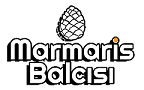 logo (111)